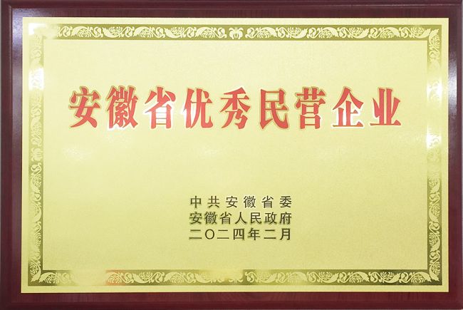 安徽省優秀民營企業